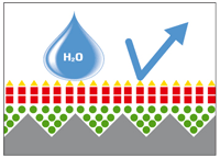 They become part of the surface itself and start doing their job: to protect